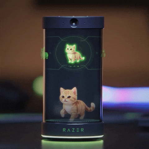 Cat Avatar GIF by Razer