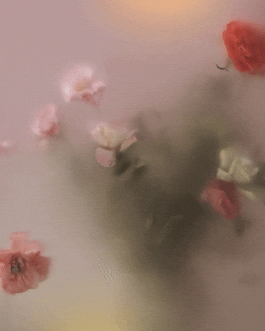 Bloom What GIF by bloomscroll