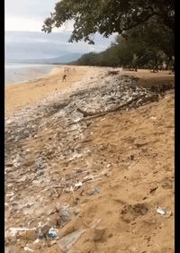 Ocean Advocate's Dismay as Bali Beach Covered With Plastic Waste