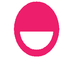 OrthoSouth Sticker
