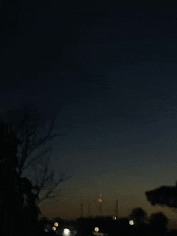 Night GIF