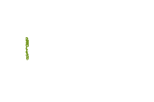 True Nopal Cactus Water Sticker by truenopaluk