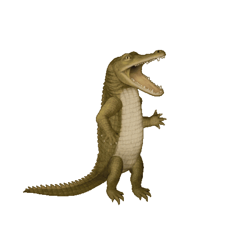 Alligator Crocodile Sticker by Scorpion Dagger