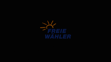 Orange Elections GIF by FREIE WÄHLER