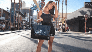 Smores Weed Strain Las Vegas GIF