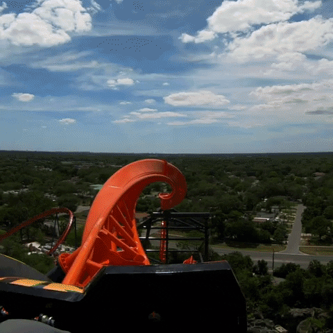 candidate Installation valve Ranking The Busch Gardens Roller Coasters - From Tame To Truly Wild In  Tampa Bay! | MOUSEEARS TV
