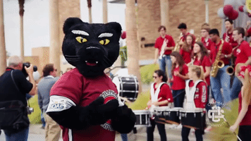 follow me pete the panther GIF