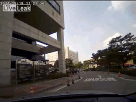 insurance fraud dashcam footage GIF