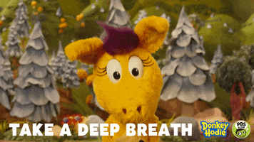 Breathe Deep Breath GIF by PBS KIDS