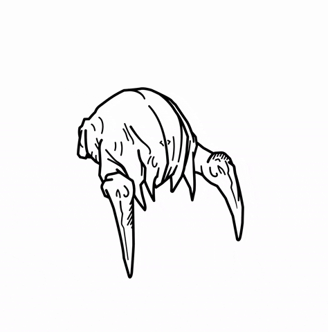 Half Life GIF