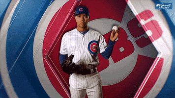 Excited Chicago Cubs GIF by NBC Sports Chicago