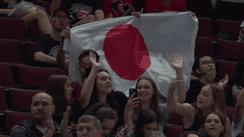 Happy Japan Flag GIF by Volleyball World