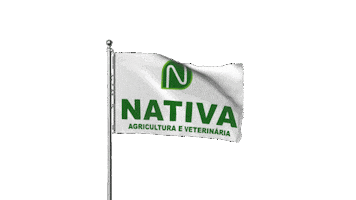 Nativa Sticker by Real H