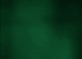 GIF by Red BAMX