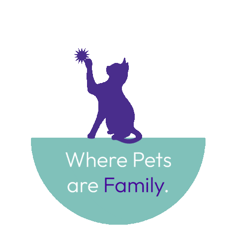 Panacea Vets Sticker