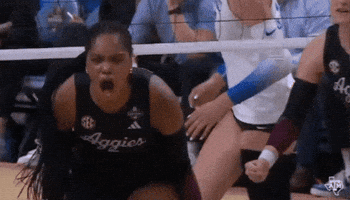 Texas Am Aggies GIF by Texas A&M Athletics