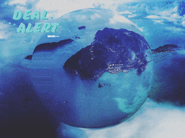 200.gif?cid=fc005b08155409d78d190347793a53779b1f9b528e6484df&rid=200.gif&ct=g