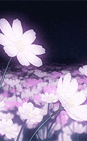 flowers aesthetics GIF by animatr