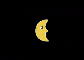 Ntjournal GIF