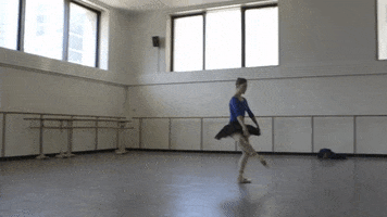 swan lake dance GIF by New York City Ballet