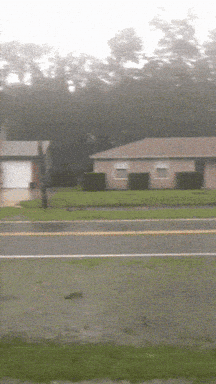 Giphy - Storm GIF
