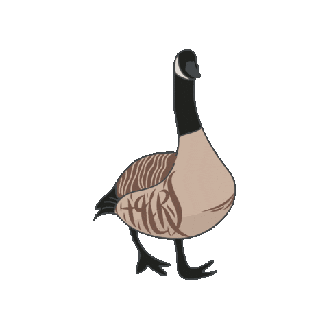 UNC Charlotte Sticker