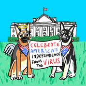 Joe Biden Dogs