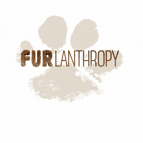 Furlanthropy charity saveanimals pawsforacause furlanthropy GIF