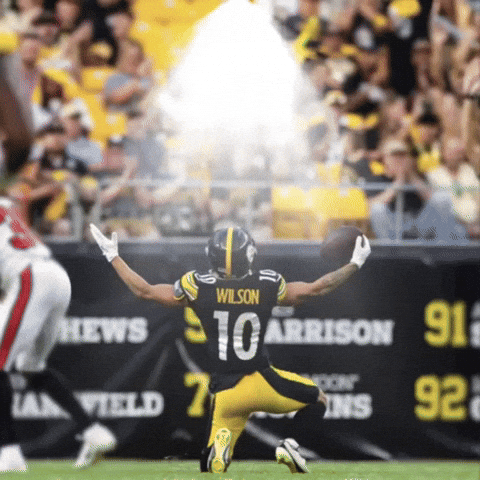 Pittsburgh Steelers GIF