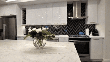 Real Estate Video GIF by SHANE