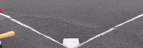 Home Run GIF by BACKYARD SPORTS