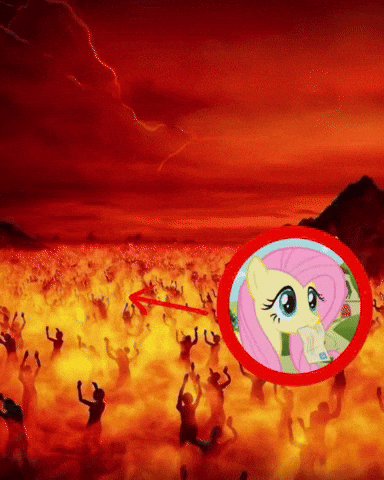 Mlp Memes GIF