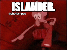 New York Islanders Hockey GIF