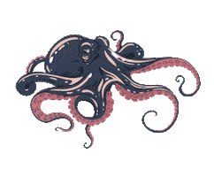 Sea Ocean Sticker by De Aqua Vivo