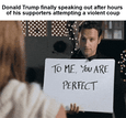 Trump speaking out after the insurrection motion meme