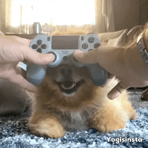 Video Games Dog GIF
