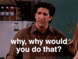 Why Would You Do That Friends Tv GIF - Find & Share on GIPHY