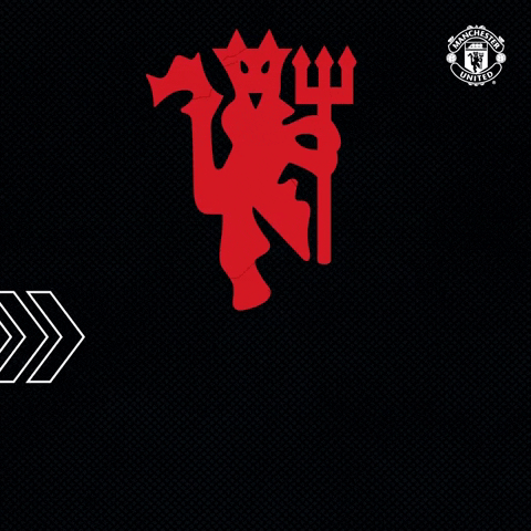 Red Devils Sport GIF by Manchester United