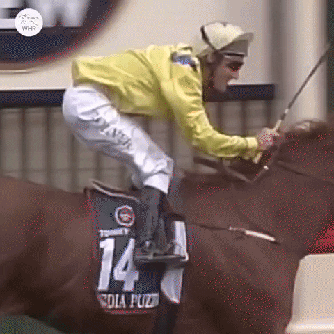 Melbourne Cup Wow GIF by World Horse Racing
