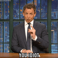 Seth Meyers Idiot GIF by Late Night with Seth Meyers - Find & Share on GIPHY