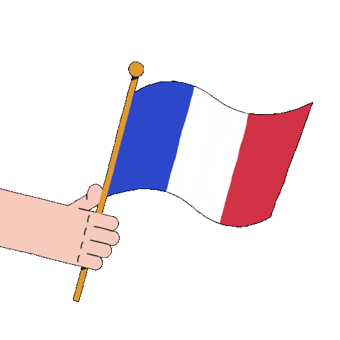 France Flag Sticker by Adrien Ghenassia