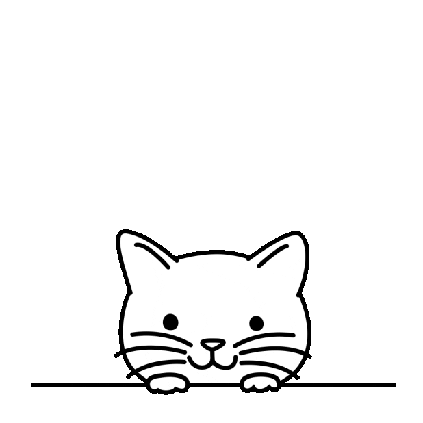 Confused Cat Sticker for iOS & Android GIPHY