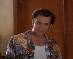 I Bet Ace Ventura GIF - Find & Share on GIPHY