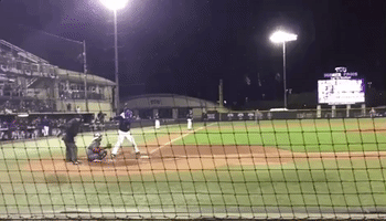 Tcu Baseball GIF