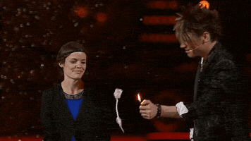 ehrlichbrothers  GIF