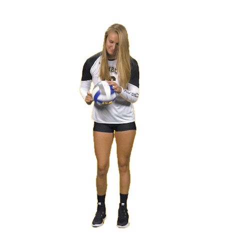 Umbc Volleyball Sticker