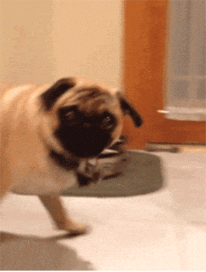 https://media4.giphy.com/media/X8lpsy3YBcIJW/giphy.gif?cid=28f76e61e82fgvu2hiay52d0axe6ml6ok2m3m07j04elp704&rid=giphy.gif&ct=g