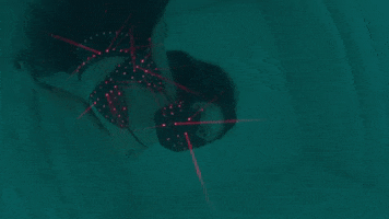Space Cadet GIF by Metro Boomin