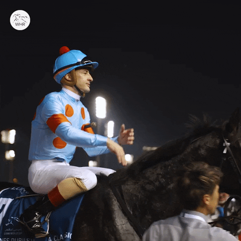 Winning Salt And Pepper GIF by World Horse Racing
