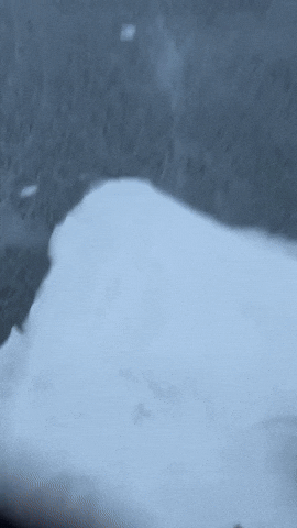 Cold Weather GIF